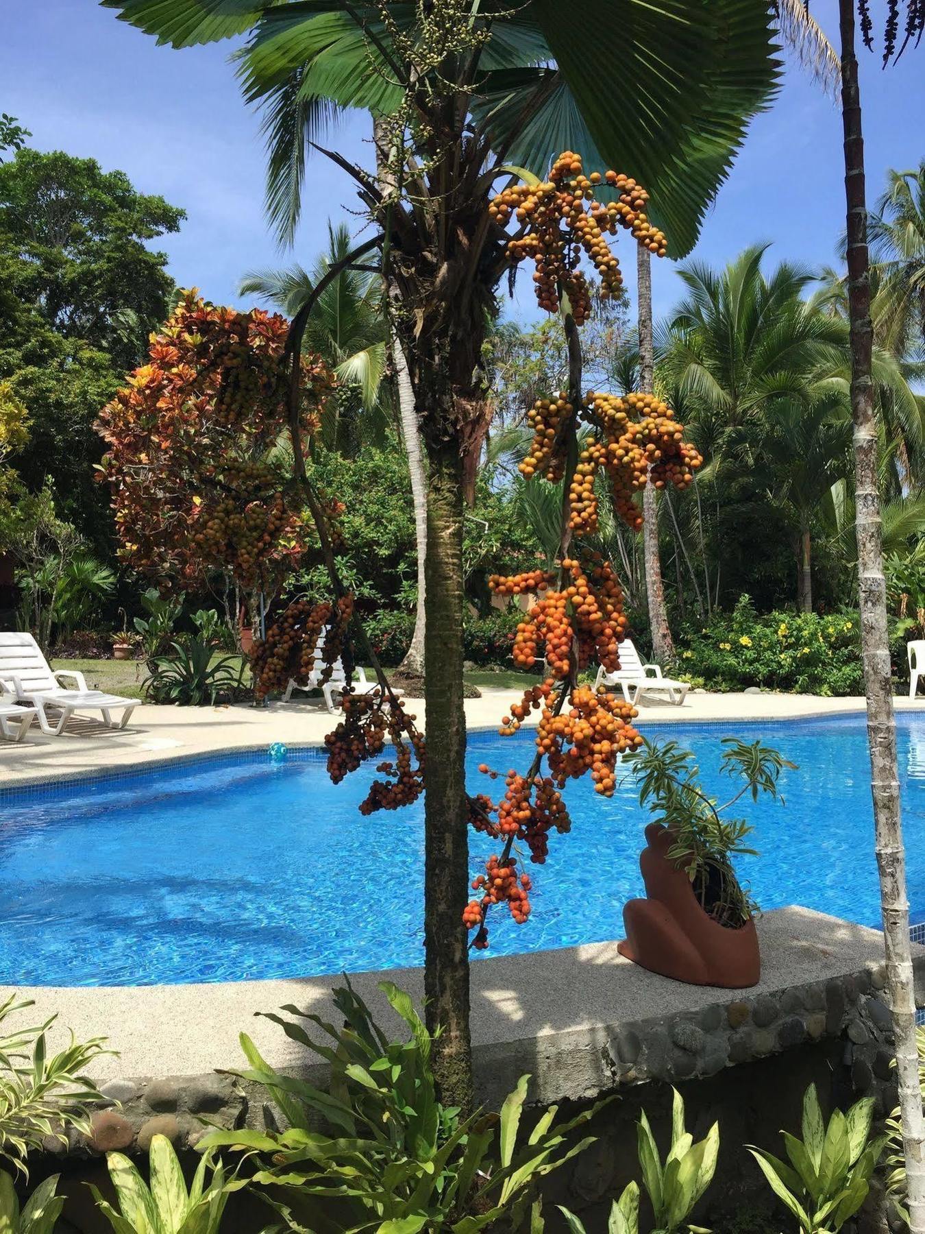 La Diosa Bed and breakfast
