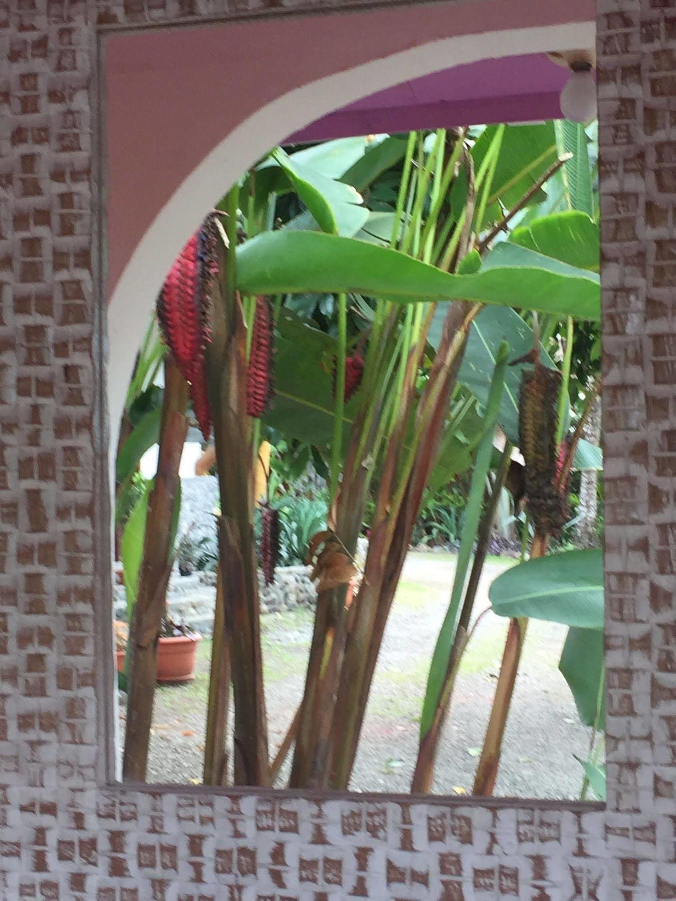 La Diosa Bed and breakfast 4*